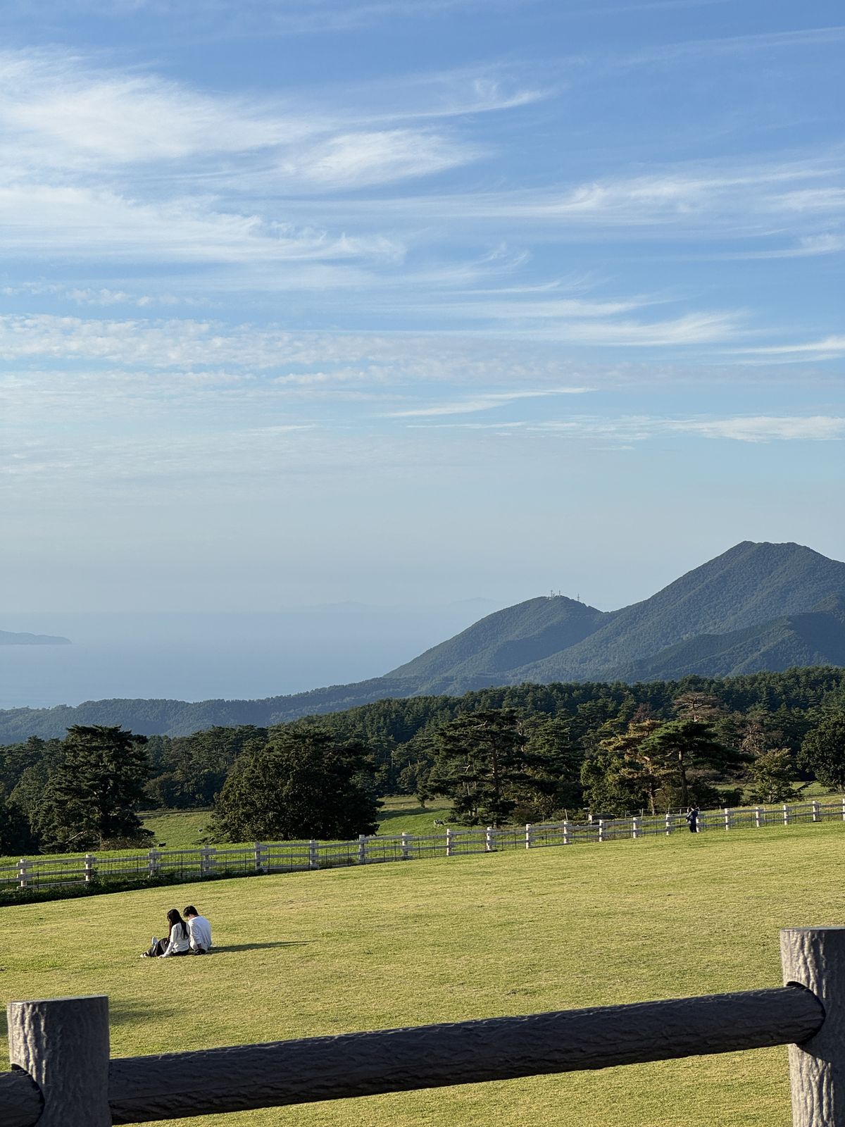 Eine grüne Wiese mit Holzzaun, im Hintergrund Kiefern, Berge und das Meer.