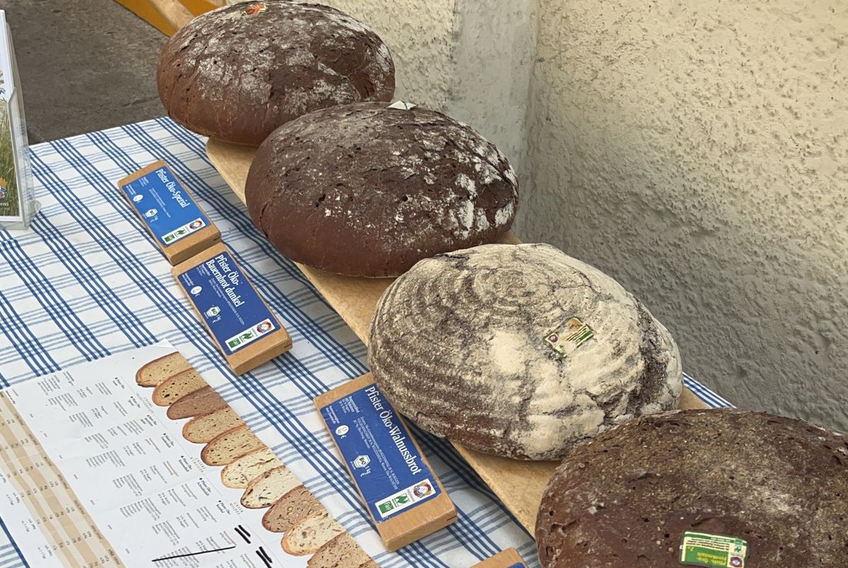 Mehrere runde Brotlaibe liegen auf einem Tisch mit blau-weiß karierter Decke, daneben kleine Schilder mit den Namen der Brotsorten.